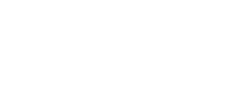 Sellva Consulting